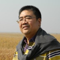 李金峰