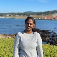Netra Venkatapathy