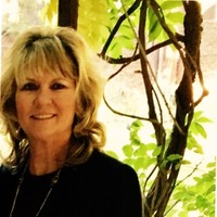 Karen Webster