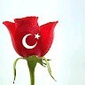 Safa Ceylan