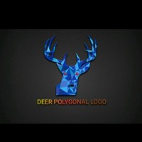 specialist graphic designer