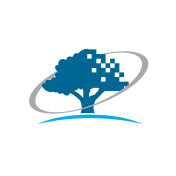 Oracle Information Systems