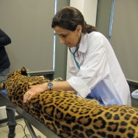 Valérie Chetboul