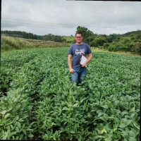 Marcio Jose Quesada Gimenes