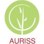 Auriss Technologies