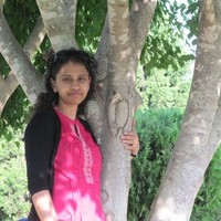Vindhya N