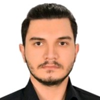 Hadi Safari
