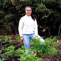 Angie Lorena Montenegro Pinzón