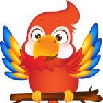 Parrot Bravolol