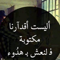 سيد حسن