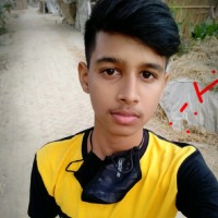 Md Samiul Hossen