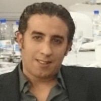 Ayman Mahmoud