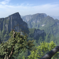 陈家琦