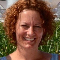 Julie Casey