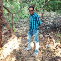 Vimal Manek