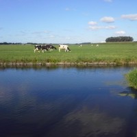 Ed Someren