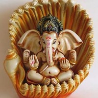 Nilam T