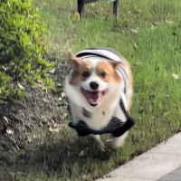 陈梦涵