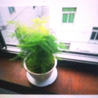 刘孟荣