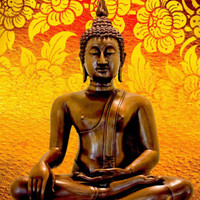 Ashish Kushwaha