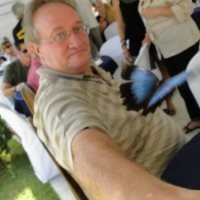 Guilherme Lucon Filho