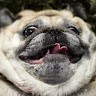 Grigory Vlasenko