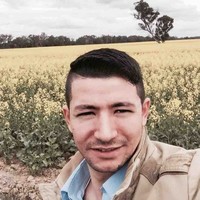 Ali Hazara