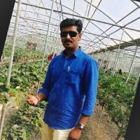 Senthilkumar Chokalingam