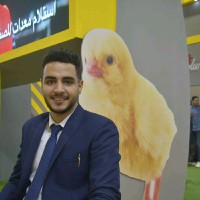 Hazem Ayed