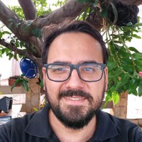 Fulvio Prevideli Viana Da Silva