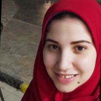 Alaa Elbaz