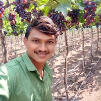 Amol Bhor