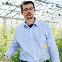 Vasilis Gegas Phd, Mba, Msc