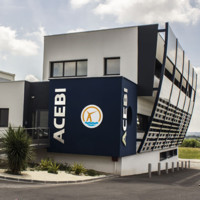 Sas Acebi
