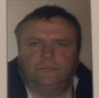 Stewart Hayllar