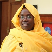 Viola kitaka