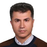 Reza Shahloonejad