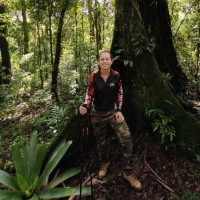 Natalia Cerquearo Medeiros