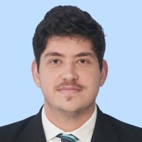 Henrique M. Michelini