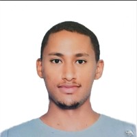 Dawit Meseret