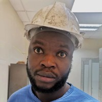 Bongumusa Dlamini