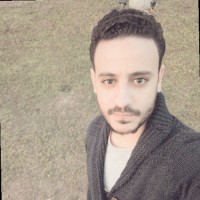 Ahmed Ali