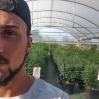 Alessandro Giglietti