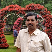 manjunatha m