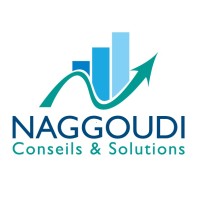 Amine Naggoudi