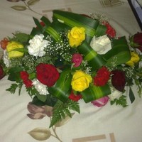 ربيع حسن احمد موقعنا حمامه