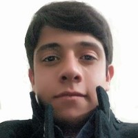 Alireza Bigdely