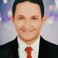 Elsayed M. Abdelmaksoud