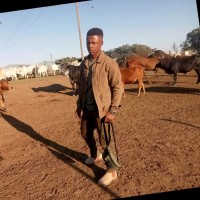 Alungile Madolo