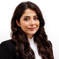 Sepideh Mousazadeh Borghei